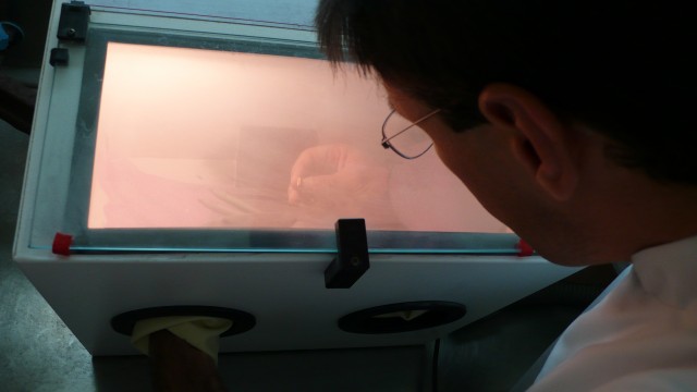 Les alliances - P1020394.jpg