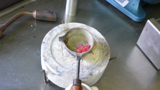 Les alliances - P1020403.jpg