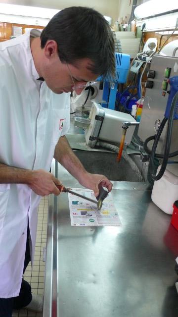 Les alliances - P1020405.jpg