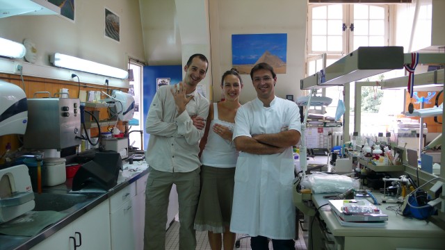 Les alliances - P1020416.jpg