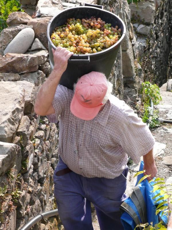 Italie - P1030659.jpg