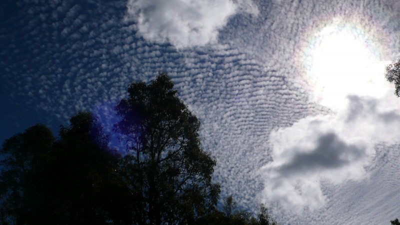 Western Australia - P1040739.jpg