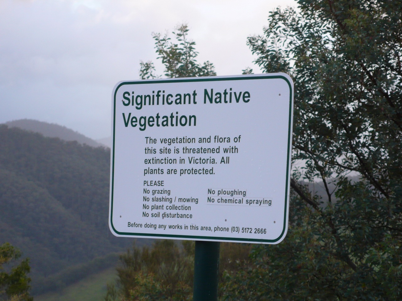 Australie : Melbourne - Sydney - P1050843.jpg