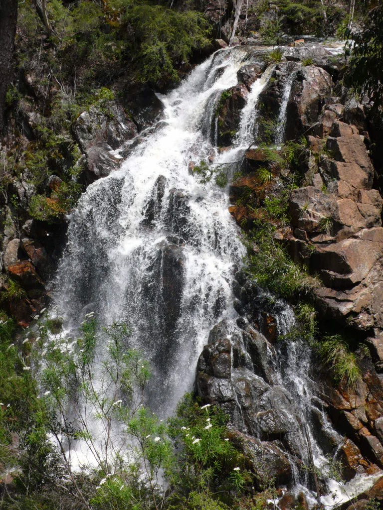 Australie : Melbourne - Sydney - P1050846.jpg