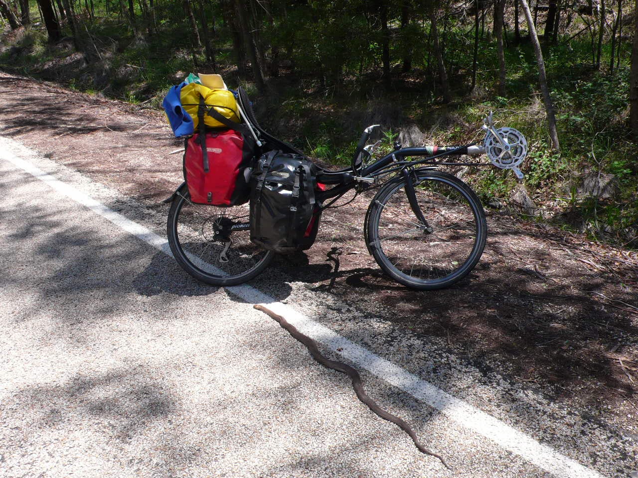 Australie : Melbourne - Sydney - P1050849.jpg