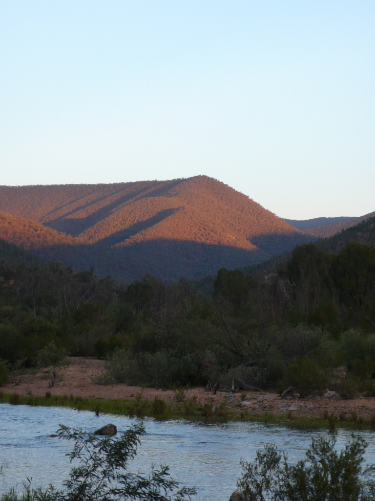 Australie : Melbourne - Sydney - P1050852.jpg