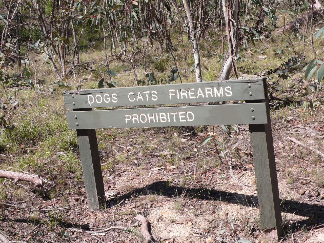 Australie : Melbourne - Sydney - P1050858.jpg