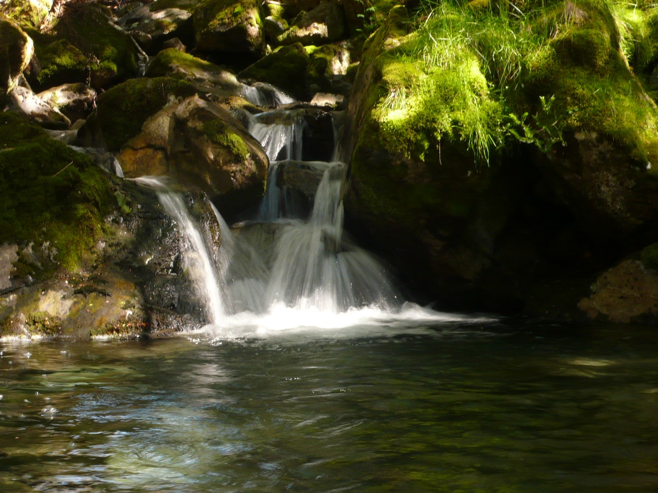 Nouvelle Zelande - l'ile du Sud - P1060532.jpg