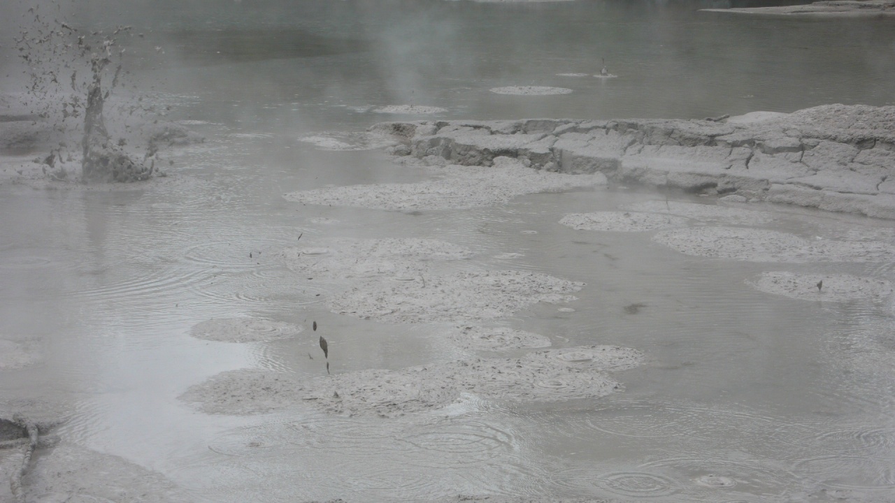 Nouvelle Zelande, l'Ile du Nord - P1070586.jpg