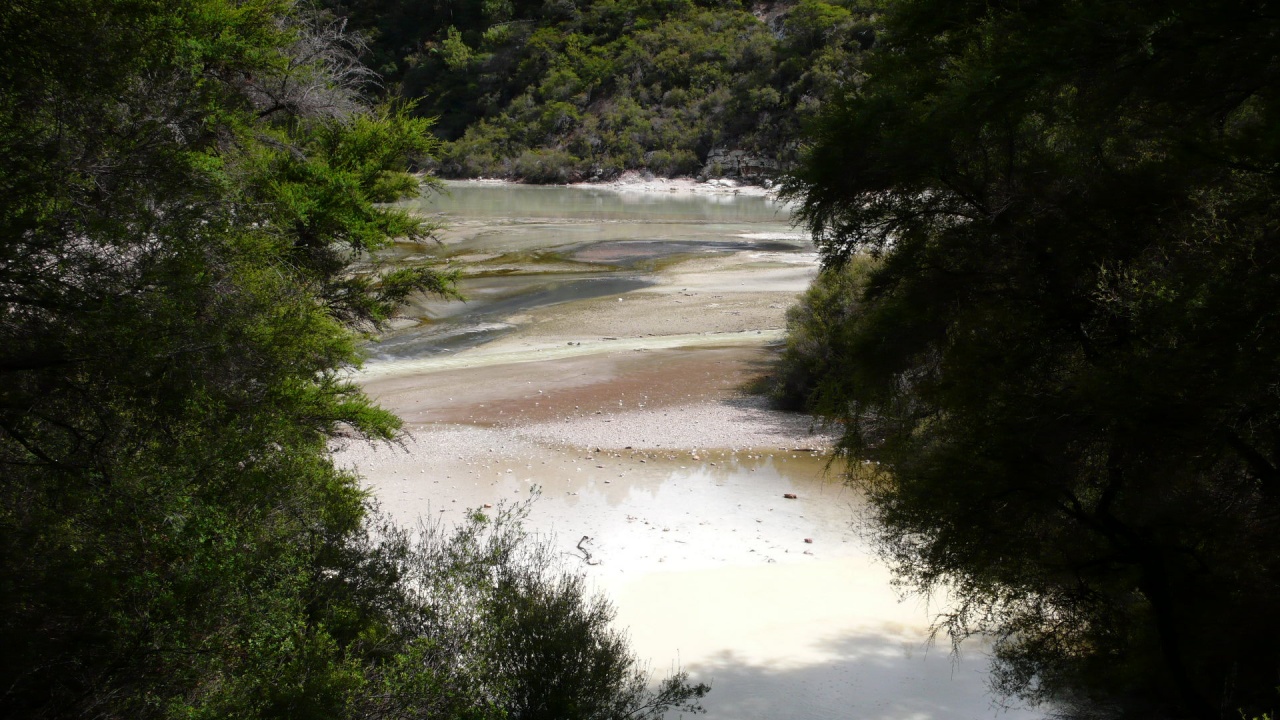 Nouvelle Zelande, l'Ile du Nord - P1070595.jpg