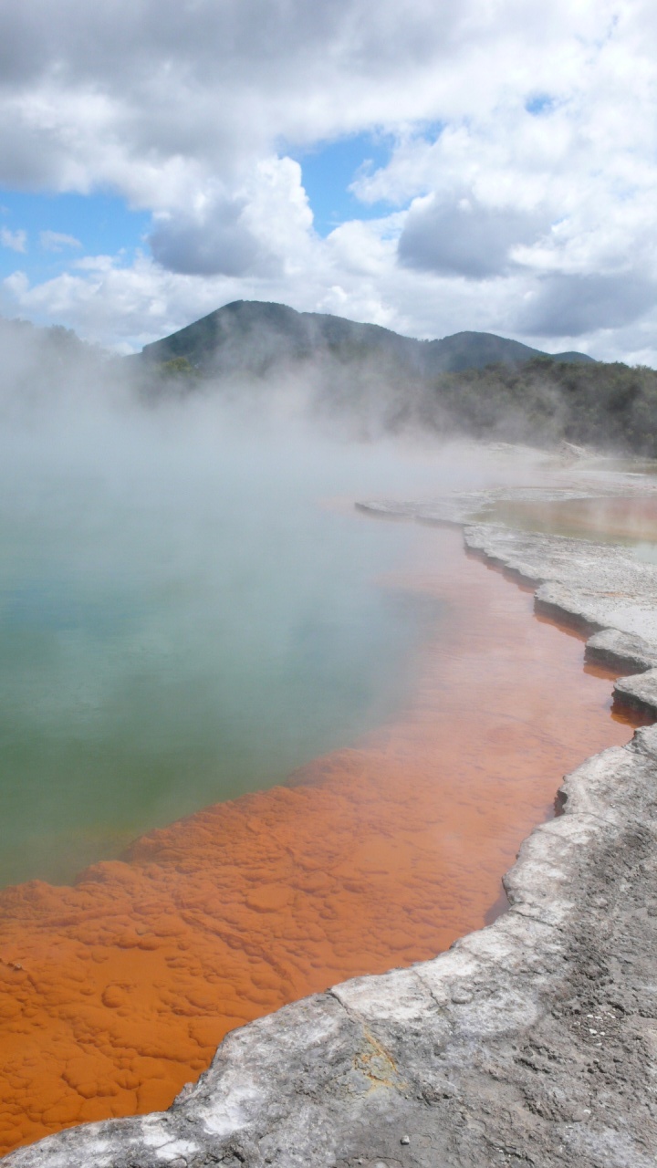Nouvelle Zelande, l'Ile du Nord - P1070598.jpg