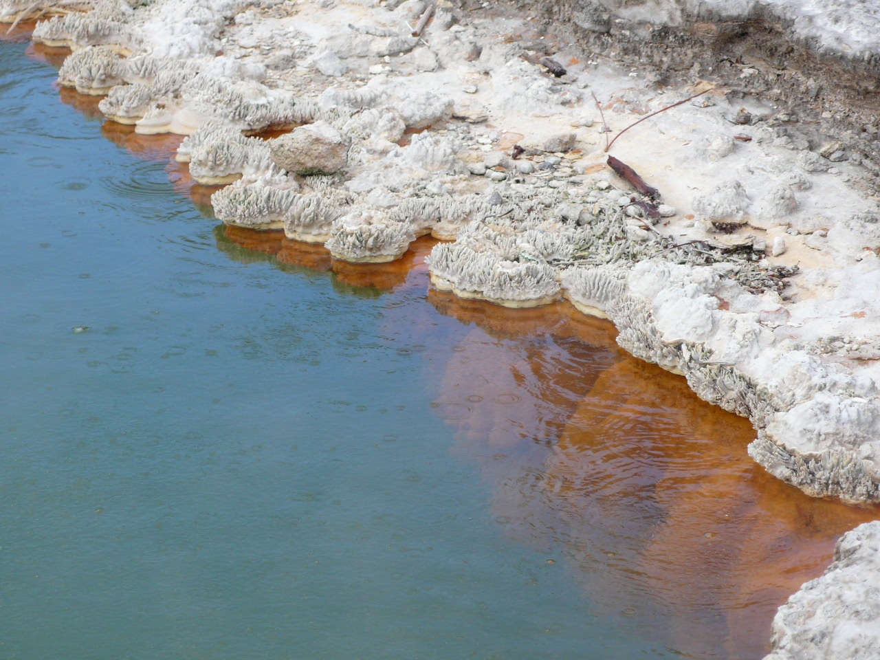 Nouvelle Zelande, l'Ile du Nord - P1070599.jpg