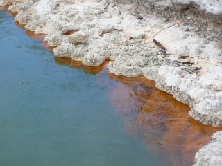 Nouvelle Zelande, l'Ile du Nord