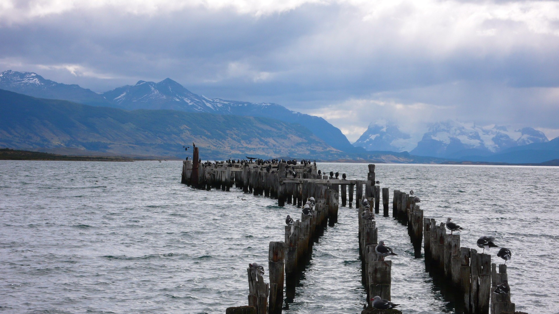 Patagonie - 1P1070997.jpg