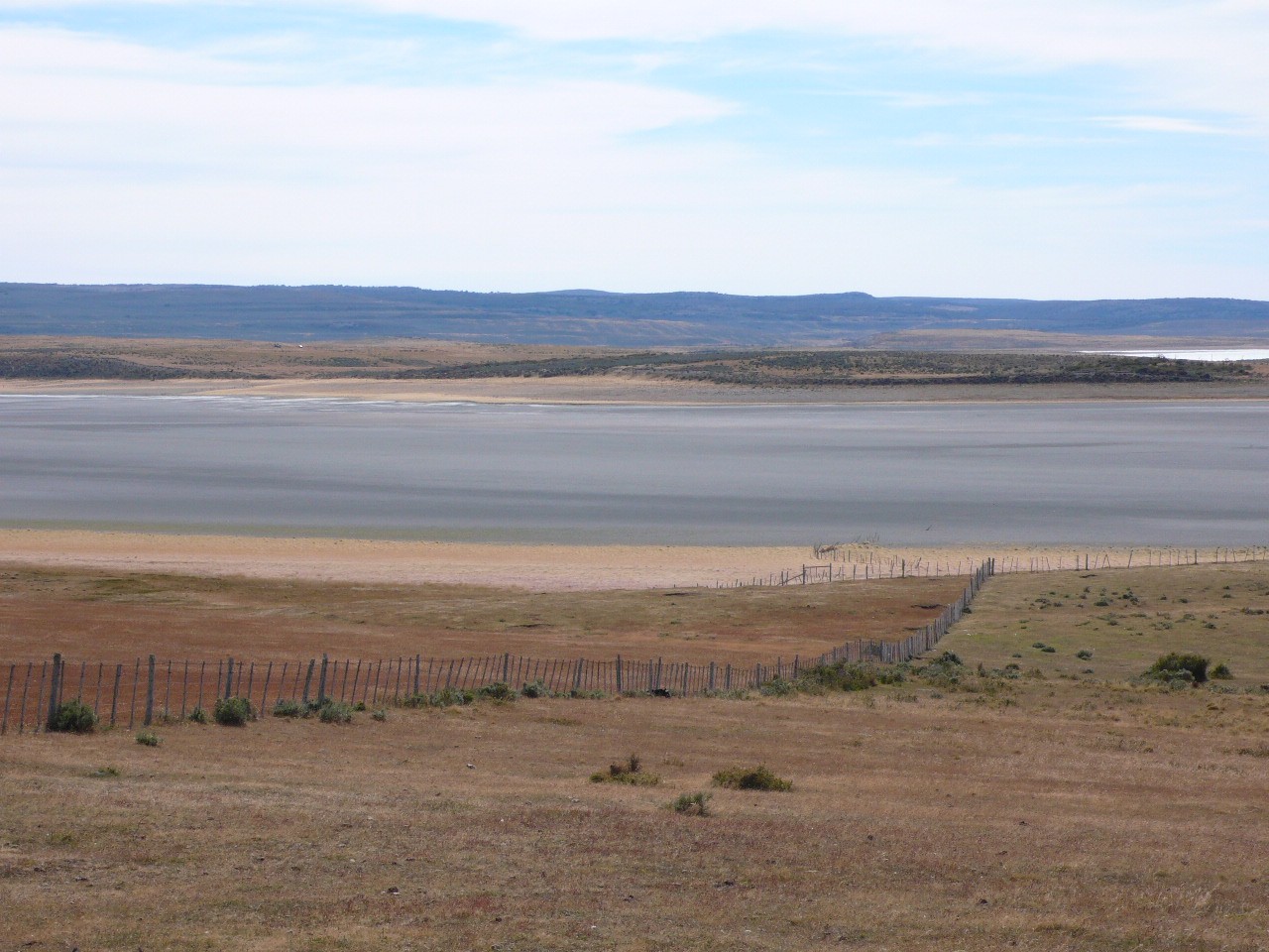 Patagonie - P1070987.jpg