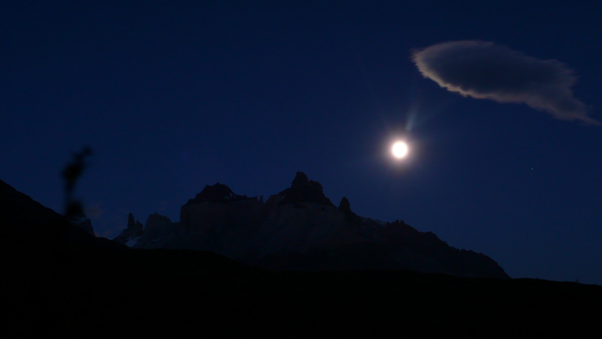 Patagonie - P1080652.jpg