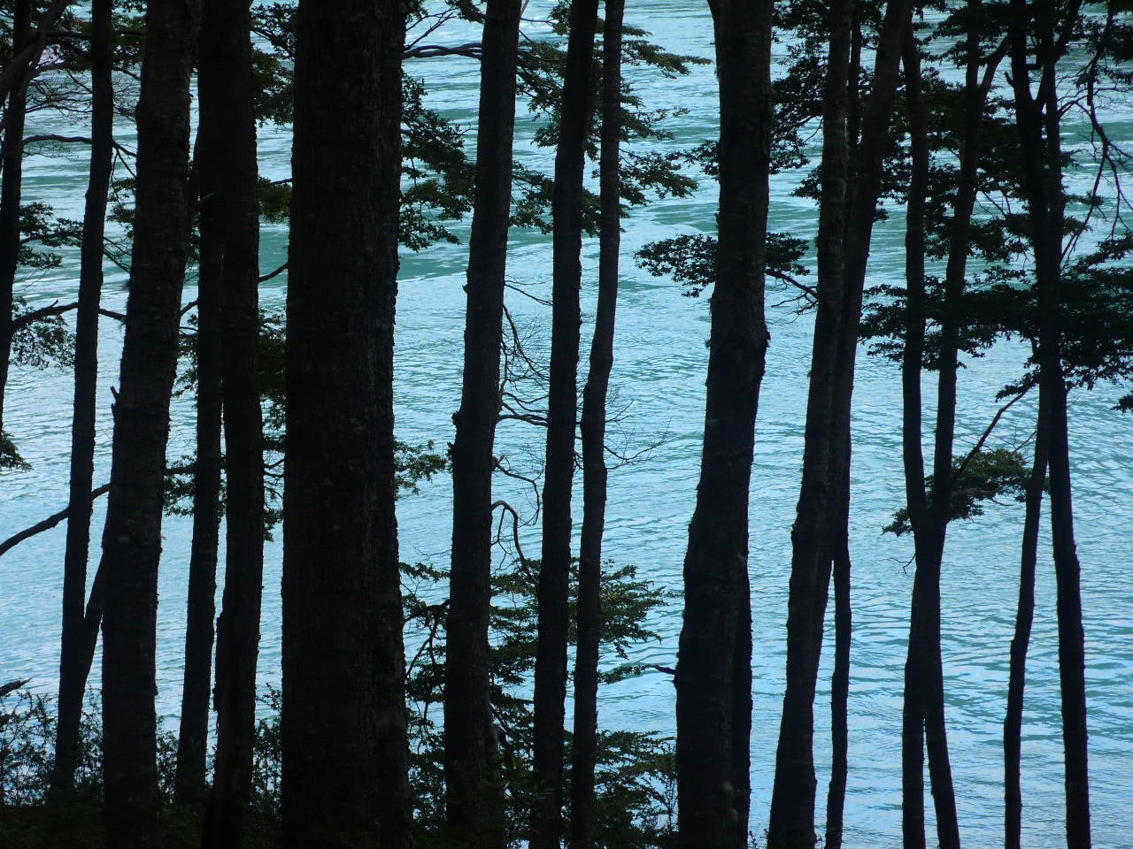 Patagonie, le Nord - P1090121.jpg