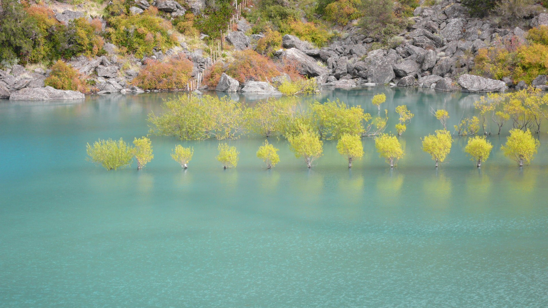 Patagonie, le Nord - P1090124.jpg