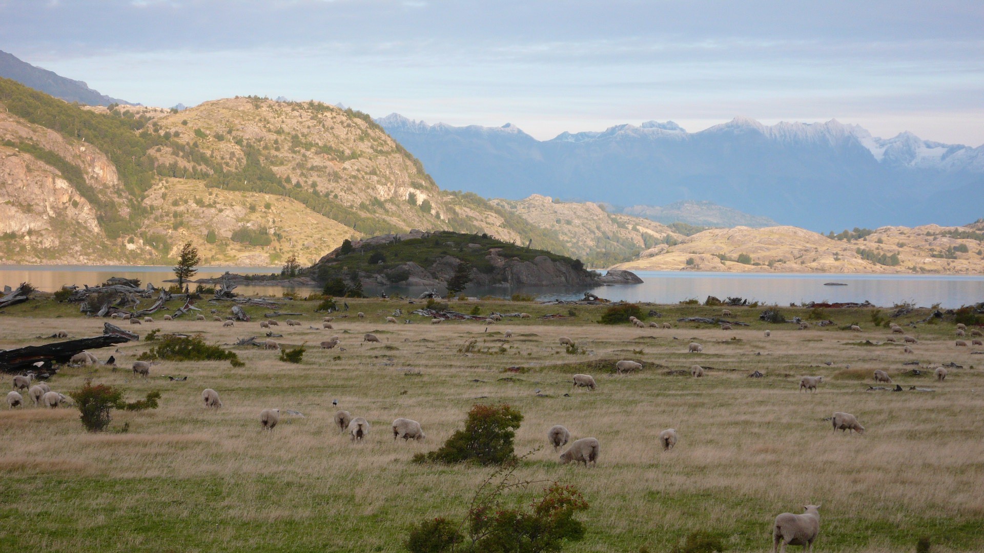 Patagonie, le Nord - P1090136.jpg