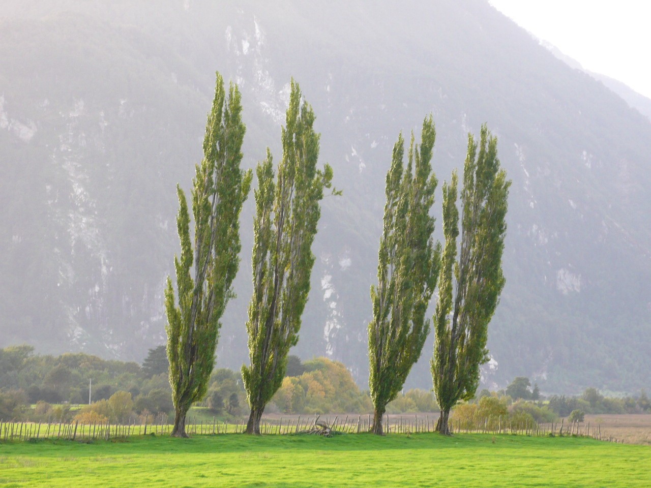 La fin du Chili et l'ile de Chiloe - P1090698.jpg