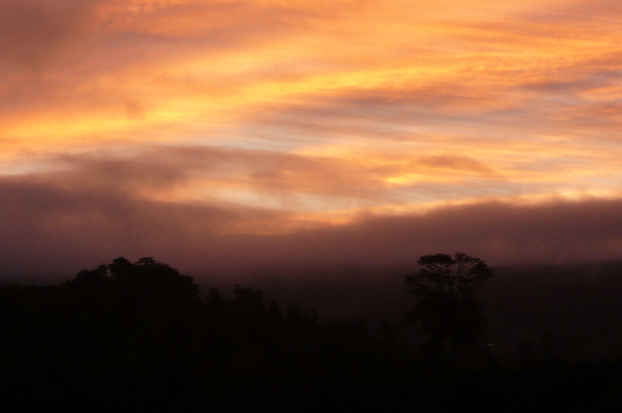 La fin du Chili et l'ile de Chiloe - P1090706.jpg