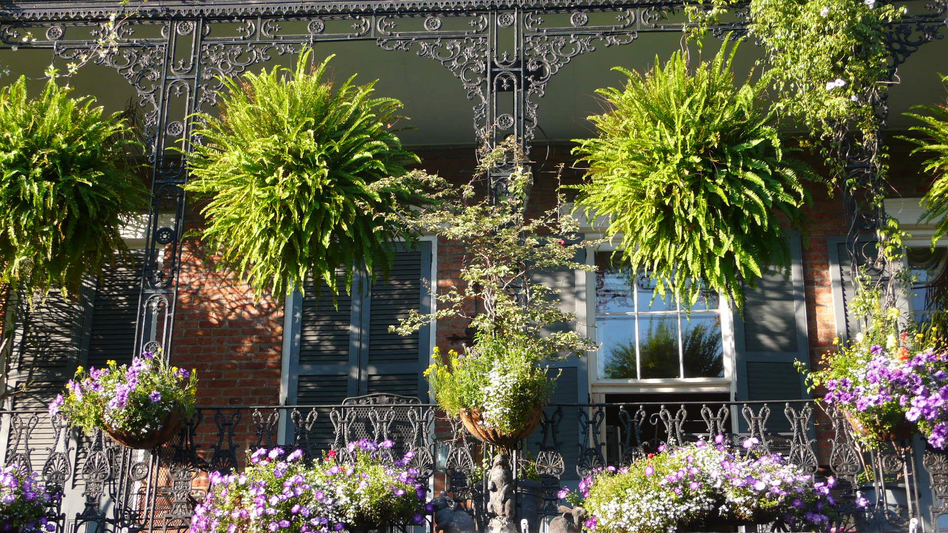 USA - The deep South - P1090965.jpg