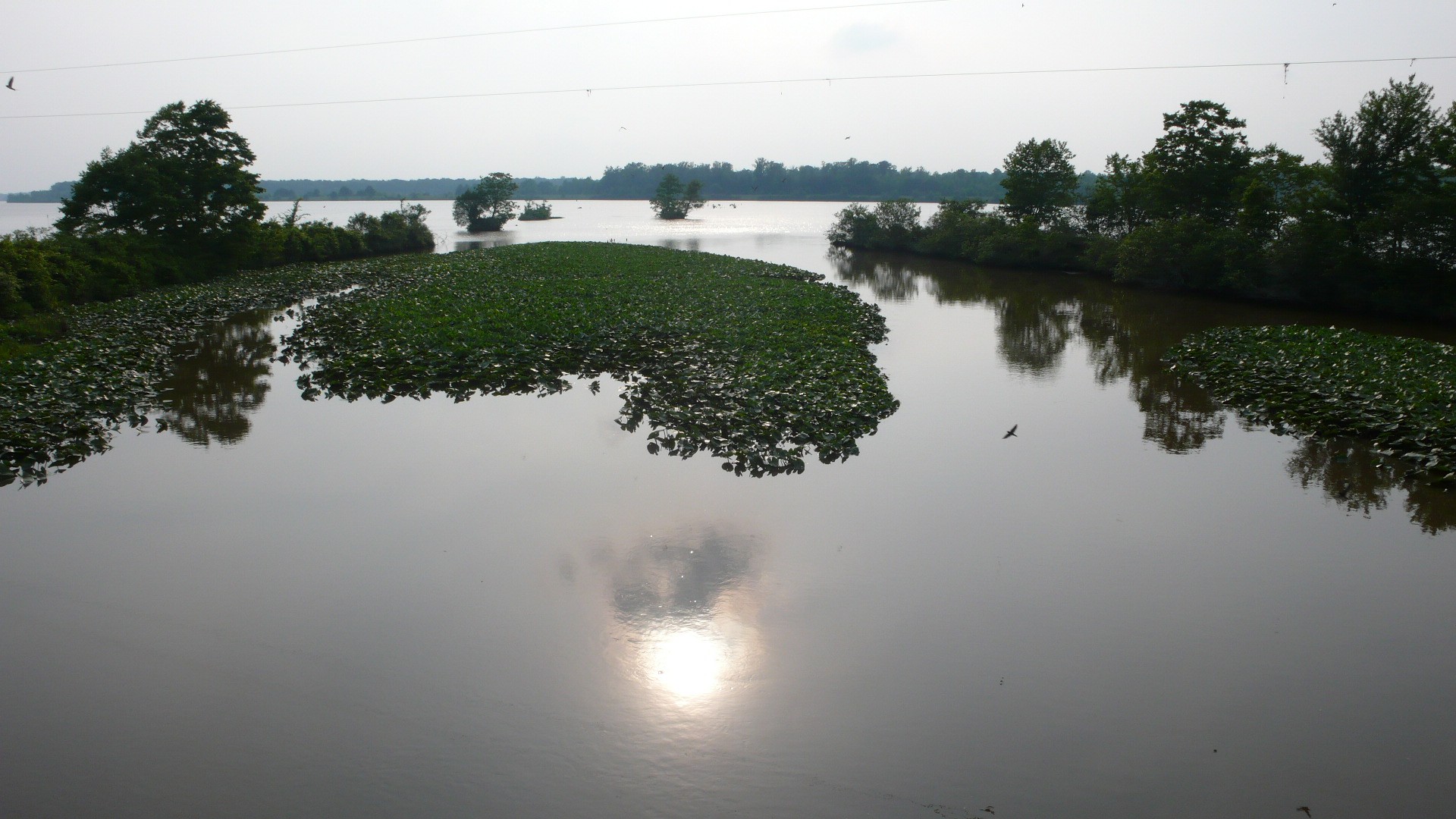 USA - Tennessee &amp; Kentucky - P1100469.jpg
