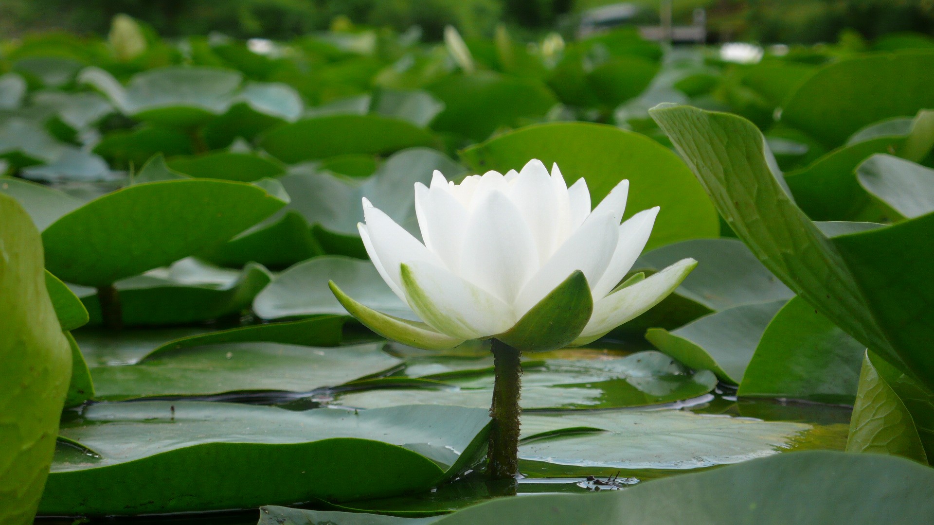 USA - Kentucky, Indiana &amp; Ohio - P1110269.JPG