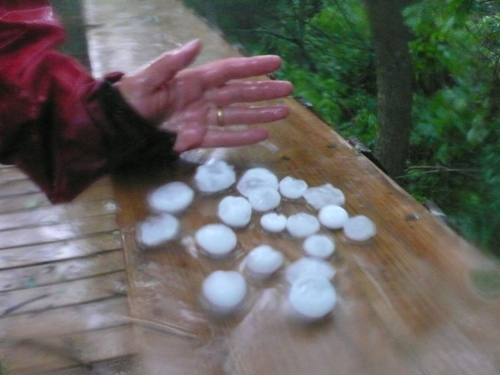 Toronto et environs - P1110759.JPG