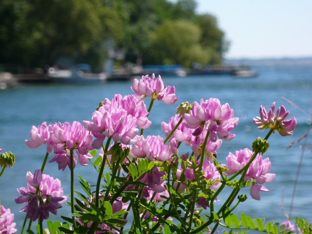 De Toronto a Montreal - P1120132.JPG