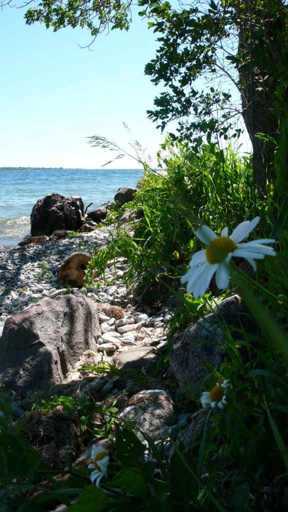 De Toronto a Montreal - P1120133.JPG