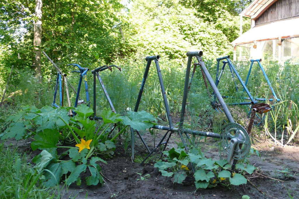 De Toronto a Montreal - P1120137.JPG