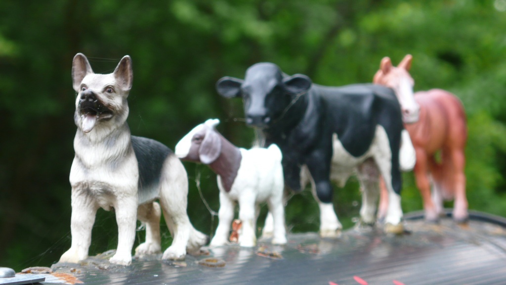 De Toronto a Montreal - P1120142.JPG