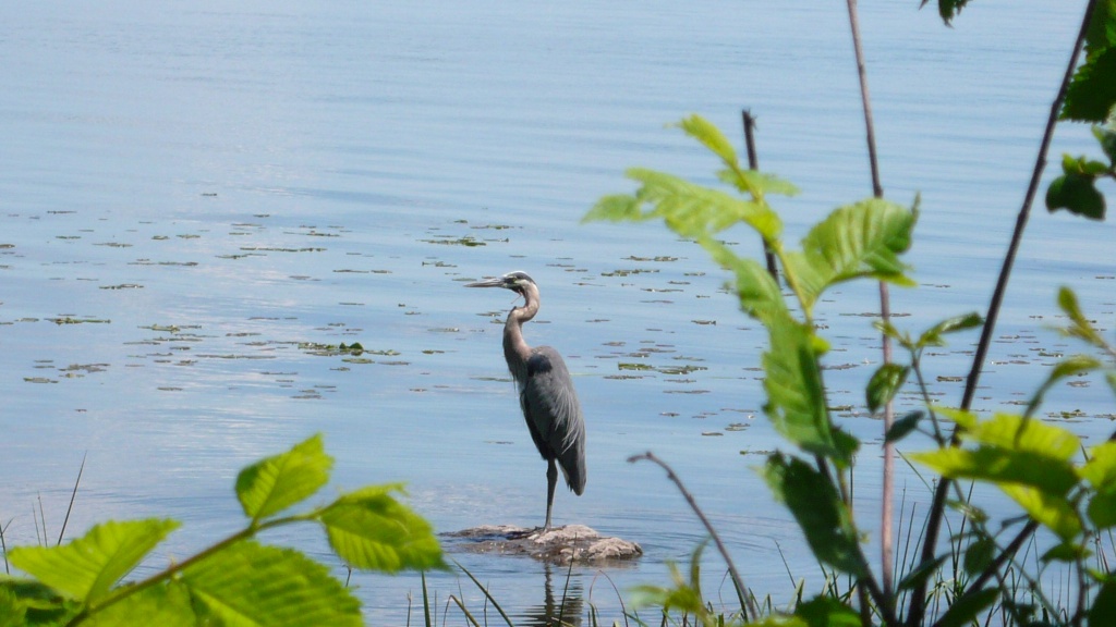 Le Quebec - P1120431.JPG