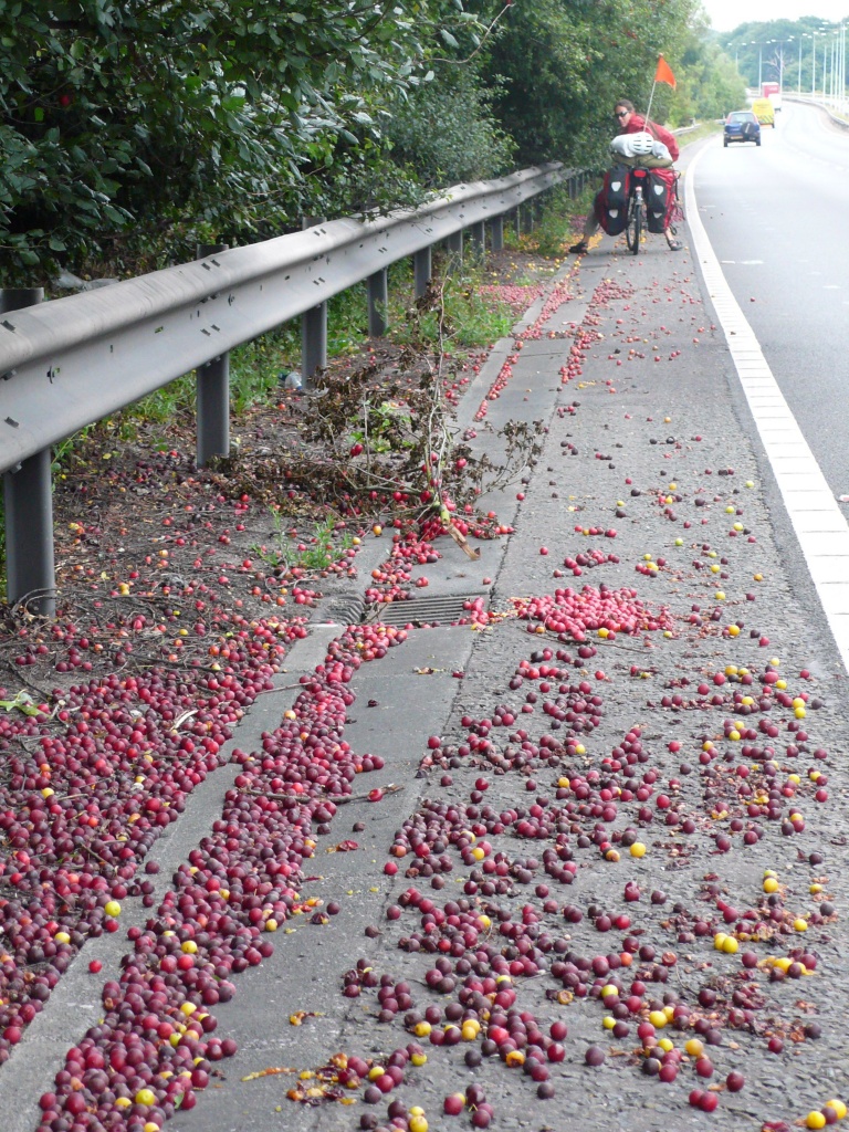 L'Angleterre - P1130080.JPG